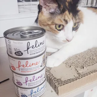JENNY님이 올린 리뷰 사진 1