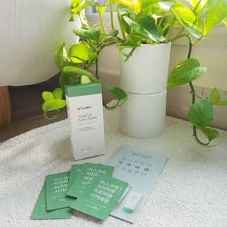 아르비엔 순한성분 비건 무기자차 톤업선크림 — 5점을 준 리뷰어가 2021년 1월 올린 사용 사진
