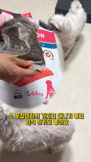 망아진가봄님이 올린 리뷰 사진 2