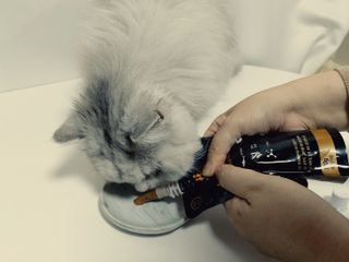 복순이님이 올린 리뷰 사진 2