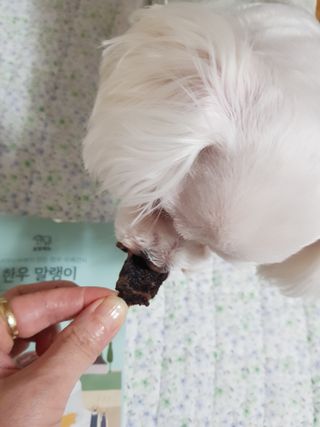 빛날Hwan님이 올린 리뷰 사진 1