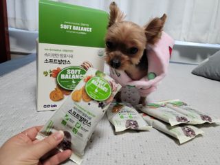 씨디랩 속이 편한 강아지 사료 소프트발란스 기호성 좋은 발효사료 피부와 위장 관절과 위장 — 4점을 준 리뷰어가 2021년 3월 올린 사용 사진