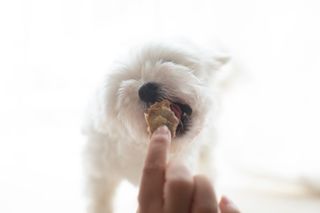 특별한미쓰리님이 올린 리뷰 사진 1