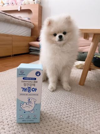 chocoamin님이 올린 리뷰 사진 1