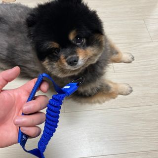 정아님이 올린 리뷰 사진 3
