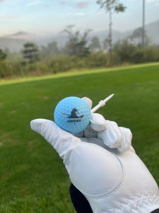 더위치골프(thewitchgolf) 프리미엄 골프 공 더위치골프 매트 펄 컬러의 3피스볼 더위치골프 골프볼 선물세트 — 4.5점을 준 리뷰어가 2023년 9월 올린 사용 사진