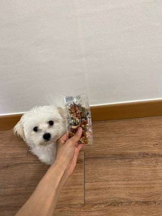 냥냥이님이 올린 리뷰 사진 3