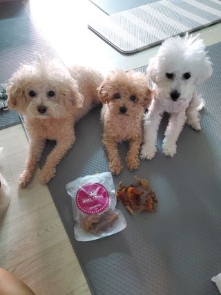 모모맘님이 올린 리뷰 사진 1