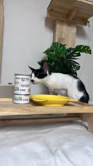 manu님이 올린 리뷰 사진 2