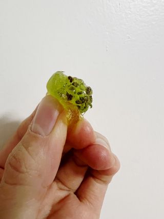 쭌님이 올린 리뷰 사진 2