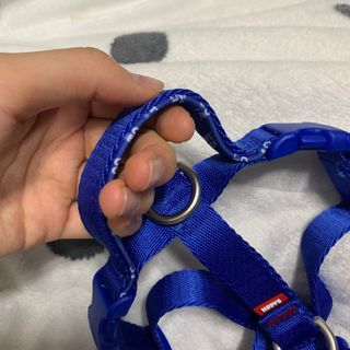 초오기님이 올린 리뷰 사진 4