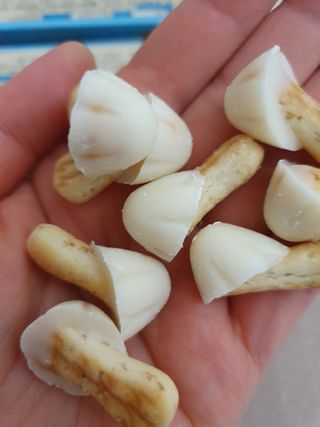 탱크돌콩님이 올린 리뷰 사진 1