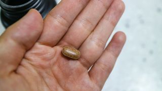 슬림플래닛 녹차카테킨 500mg 애프터밀 — 4점을 준 리뷰어가 2021년 8월 올린 사용 사진