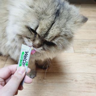 하린님이 올린 리뷰 사진 3
