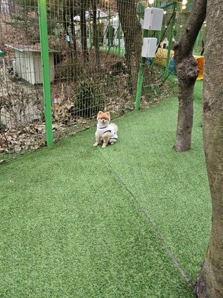 미뎡님이 올린 리뷰 사진 3