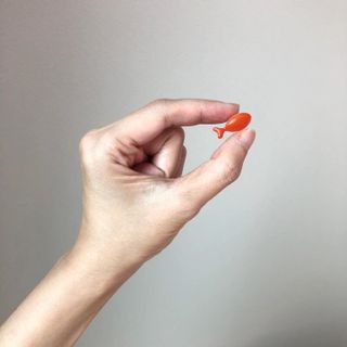 torius님이 올린 리뷰 사진 2