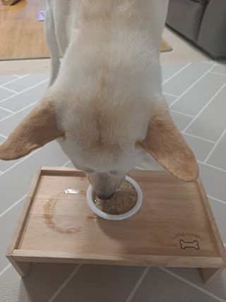 태가맘님이 올린 리뷰 사진 4