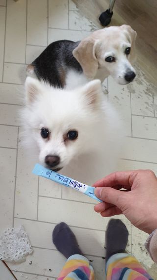 둘둘이님이 올린 리뷰 사진 1