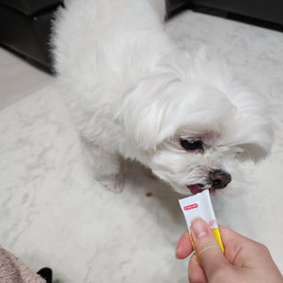 lala님이 올린 리뷰 사진 1