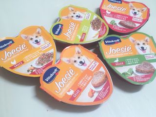 비타크래프트 조에시 하트캔 85g 강아지 습식캔 10캔 — 5점을 준 리뷰어가 2021년 7월 올린 사용 사진