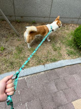 슬이님이 올린 리뷰 사진 4