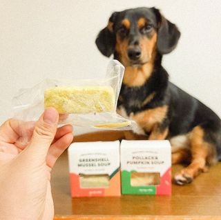 베이컨박스 [BACON] 강아지 수제간식 간편 동결건조 스튜 2종 - 황태, 초록 홍합 — 5점을 준 리뷰어가 2021년 1월 올린 사용 사진