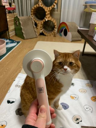 선짱님이 올린 리뷰 사진 1