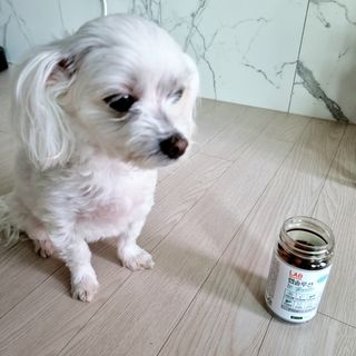 마루아토ღ'ᴗ'ღ님이 올린 리뷰 사진 3
