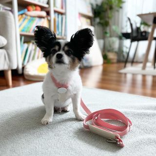 HaejinSeung님이 올린 리뷰 사진 2