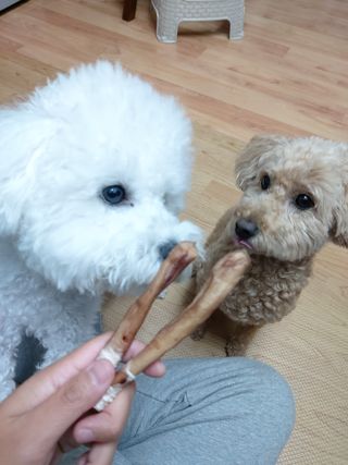 코롱님이 올린 리뷰 사진 1