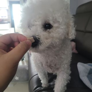 콩떡마미님이 올린 리뷰 사진 3