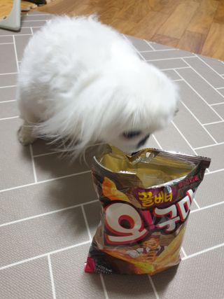 페키아름님이 올린 리뷰 사진 3