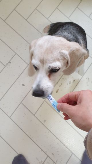 둘둘이님이 올린 리뷰 사진 3