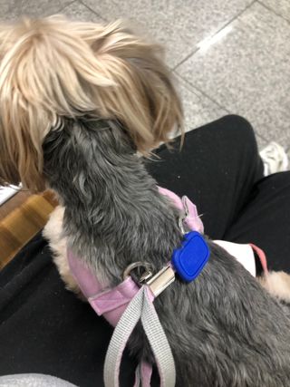 꿀님이 올린 리뷰 사진 1
