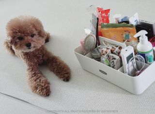 리뷰하는래미씨님이 올린 리뷰 사진 1