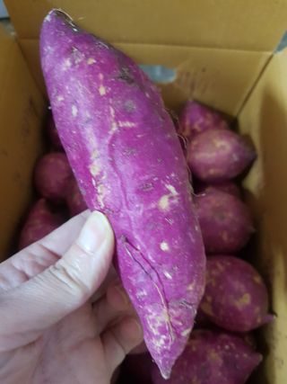 빛날Hwan님이 올린 리뷰 사진 3