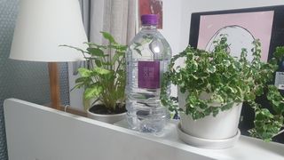 몽베스트 MONTBEST 1L 12입 — 5점을 준 리뷰어가 2022년 4월 올린 사용 사진
