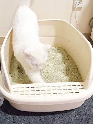 hyung님이 올린 리뷰 사진 4
