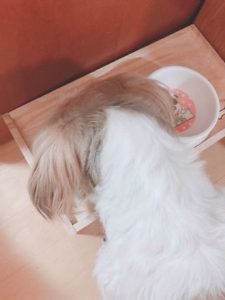 박하님이 올린 리뷰 사진 3