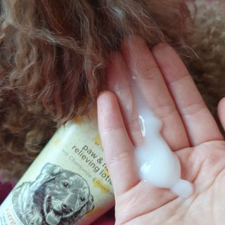 콩콩이님이 올린 리뷰 사진 2