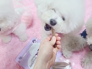 삼숑이맘님이 올린 리뷰 사진 3