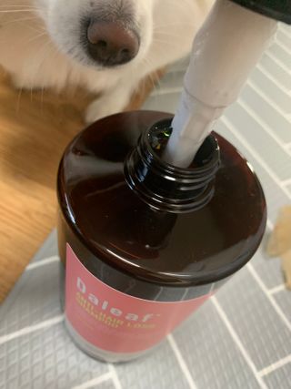 달리프 진저 베러 퍼퓸 탈모 완화 샴푸 1000ml 향 3종 — 5점을 준 리뷰어가 2021년 2월 올린 사용 사진