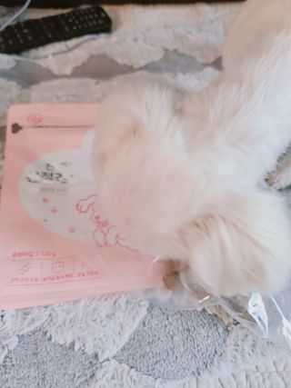My Pet Care 천연단백질 관절건강에 개좋아 — 4점을 준 리뷰어가 2021년 3월 올린 사용 사진