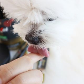 송린깡님이 올린 리뷰 사진 4