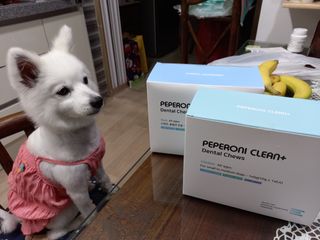 페페로니 2종 세트 클린플러스 덴탈껌 치킨+덕 — 5점을 준 리뷰어가 2021년 8월 올린 사용 사진