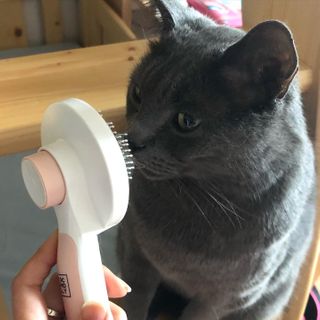 미우미우님이 올린 리뷰 사진 1
