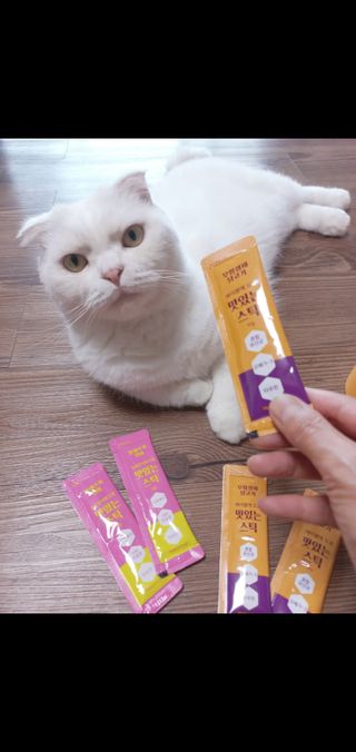 좋아님이 올린 리뷰 사진 1