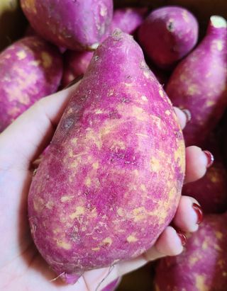 닝닝닝닝닝님이 올린 리뷰 사진 3