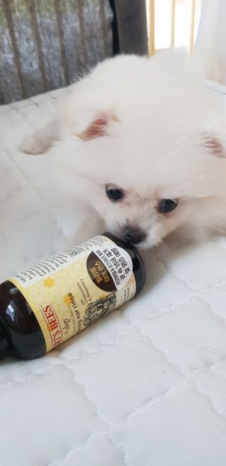 버츠비 케어플러스 릴리빙 이어린스 — 5점을 준 리뷰어가 2021년 6월 올린 사용 사진