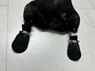 또용님이 올린 리뷰 사진 3